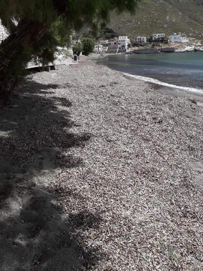 Kalymnos Beach House Panormos  エクステリア 写真